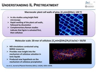 UNDERSTANDING IL PRETREATMENT
Molecular	
  scale:	
  20-­‐mer	
  of	
  cellulose;	
  [C2mim][OAc]/H2O	
  (w/w)	
  =	
  50/50	
  
Ø  MD	
  simulaHons	
  conducted	
  using	
  
NERSC	
  resources	
  
Ø  Provides	
  new	
  insight	
  into	
  the	
  
mechanism	
  of	
  cellulose	
  solvaHon	
  in	
  
ionic	
  liquids	
  
Ø  Produced	
  new	
  hypothesis	
  on	
  the	
  
mechanism	
  of	
  cellulose	
  precipitaHon	
  
Liu	
  et	
  al.,	
  Journal	
  of	
  Physical	
  Chemistry	
  (2011),	
  115(34),	
  10251-­‐10258.	
  
11	
  
Macroscale:	
  plant	
  cell	
  walls	
  of	
  pine,	
  [C2mim][OAc],	
  120	
  oC	
  
Ø  In	
  situ	
  studies	
  using	
  bright	
  ﬁeld	
  
microscopy	
  
Ø  Rapid	
  swelling	
  of	
  the	
  plant	
  cell	
  walls,	
  
followed	
  by	
  dissoluHon	
  
Ø  Complementary	
  Raman	
  studies	
  
indicate	
  that	
  lignin	
  is	
  solvated	
  ﬁrst,	
  
then	
  cellulose	
  
 