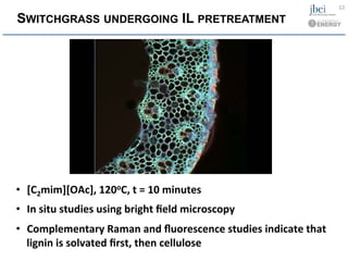 SWITCHGRASS UNDERGOING IL PRETREATMENT
•  [C2mim][OAc],	
  120oC,	
  t	
  =	
  10	
  minutes	
  
•  In	
  situ	
  studies	
  using	
  bright	
  ﬁeld	
  microscopy	
  
•  Complementary	
  Raman	
  and	
  ﬂuorescence	
  studies	
  indicate	
  that	
  
lignin	
  is	
  solvated	
  ﬁrst,	
  then	
  cellulose	
  
12	
  
 