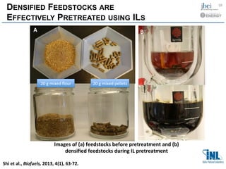 DENSIFIED FEEDSTOCKS ARE
EFFECTIVELY PRETREATED USING ILS
20#g#mixed#ﬂour# 20#g#mixed#pellets#
A" B"
Images	
  of	
  (a)	
  feedstocks	
  before	
  pretreatment	
  and	
  (b)	
  
densiﬁed	
  feedstocks	
  during	
  IL	
  pretreatment	
  
18	
  
Shi	
  et	
  al.,	
  Biofuels,	
  2013,	
  4(1),	
  63-­‐72.	
  	
  
 