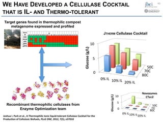 WE HAVE DEVELOPED A CELLULASE COCKTAIL
THAT IS IL- AND THERMO-TOLERANT
Recombinant thermophilic cellulases from
Enzyme Optimization team
JTHERM Cellulase Cocktail
Target genes found in thermophilic compost
metagenome expressed and profiled
Gene$
ID$ J30$J37$J24$J28$J29$J36$J40$J41$J03$
J0
6$ J08$ J09$J11$J14$J18$J19$J35$J01$J02$J15$J17$J31$
CMC$ $$ $$ $$ $$ $$ $$ $$ $$ $$ $$ $$ $$ $$ $$ $$ $$ $$ $$ $$ $$ $$ $$
Avicel$ $$ $$ $$ $$ $$ $$ $$ $$ $$ $$ $$ $$ $$ $$ $$ $$ $$ $$ $$ $$ $$ $$
pSG$ $$ $$ $$ $$ $$ $$ $$ $$ $$ $$ $$ $$ $$ $$ $$ $$ $$ $$ $$ $$ $$ $$
pNPC$ $$ $$ $$ $$ $$ $$ $$ $$ $$ $$ $$ $$ $$ $$ $$ $$ $$ $$ $$ $$ $$ $$
pNPG$ $$ $$ $$ $$ $$ $$ $$ $$ $$ $$ $$ $$ $$ $$ $$ $$ $$ $$ $$ $$ $$ $$
Joshua	
  I.	
  Park	
  et	
  al.,	
  A	
  Thermophilic	
  Ionic	
  liquid-­‐tolerant	
  Cellulase	
  Cocktail	
  for	
  the	
  
ProducHon	
  of	
  Cellulosic	
  Biofuels,	
  PLoS	
  ONE,	
  2012,	
  7(5),	
  e37010	
  
80C	
  
50C	
  
0	
  
5	
  
10	
  
0%	
  IL	
   10%	
  IL	
   20%	
  IL	
  
Glucose	
  (g/L)	
  
80C$
50C$
0$
5$
10$
0%$IL$10%$IL$20%$IL$
Novozymes)
CTec2)
Glucose)(g/L))
43	
  
70C	
  
70C	
  
 