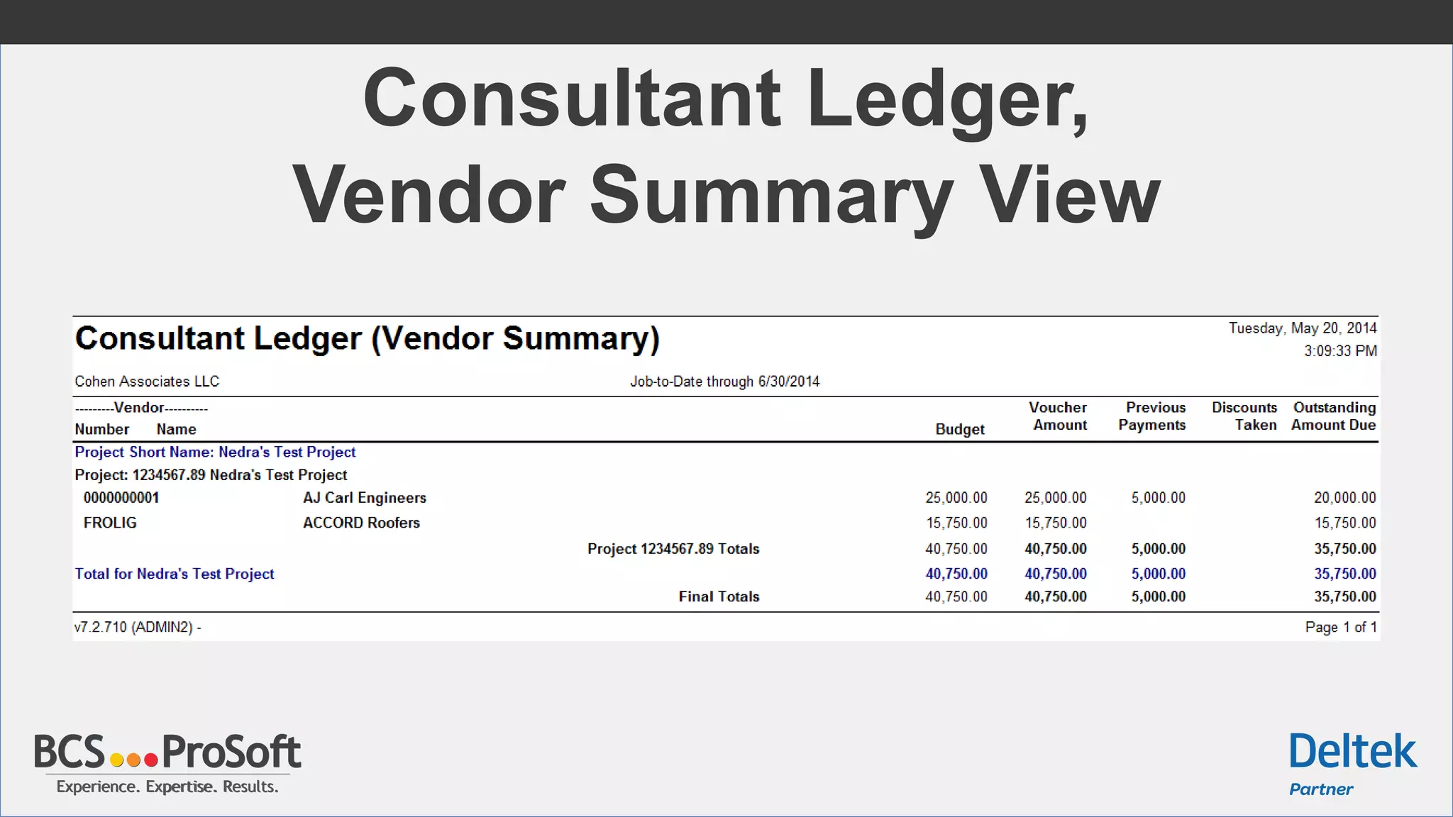 Experience. Expertise. Results.Experience. Expertise. Results.
Consultant Ledger,
Vendor Summary View
 