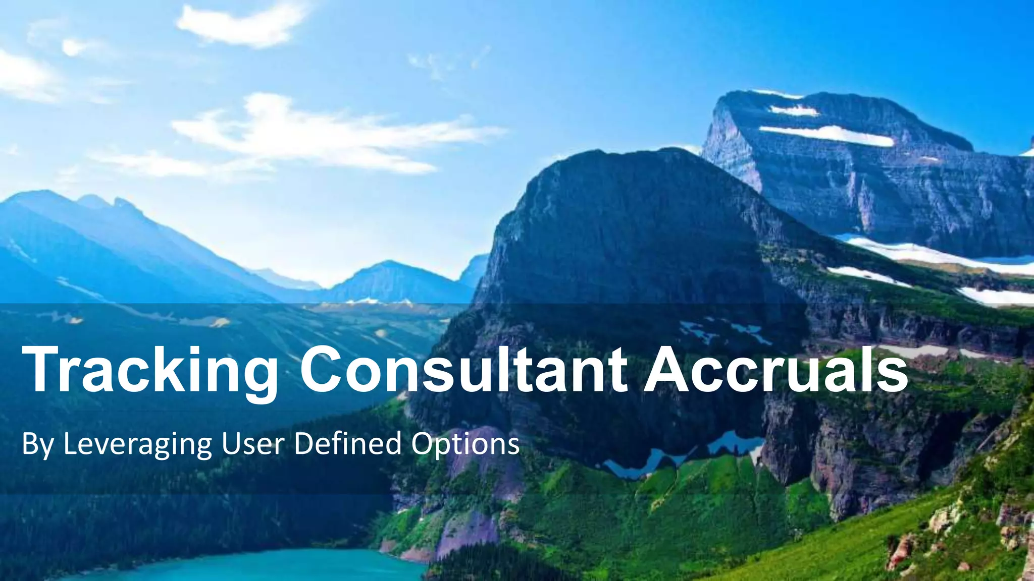 Tracking Consultant Accruals
By Leveraging User Defined Options
 