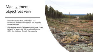 Management
objectives vary
• Property size, location, timber type and
landowner abilities influence how the property
will be managed
• Photo shows a large fuelbreak created on a ~3,000
ac ranch to reduce the risk of wildfire from the
utility line that runs through the property
 