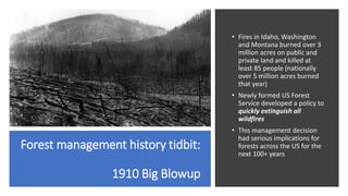 Forest management history tidbit:
1910 Big Blowup
• Fires in Idaho, Washington
and Montana burned over 3
million acres on public and
private land and killed at
least 85 people (nationally
over 5 million acres burned
that year)
• Newly formed US Forest
Service developed a policy to
quickly extinguish all
wildfires
• This management decision
had serious implications for
forests across the US for the
next 100+ years
 