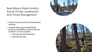 New Mexico State Forestry
Assists Private Landowners
with Forest Management
• Timber inventory and Forest Stewardship
Planning
• Implementing recommended forest
practices using BMPs to achieve desired
conditions on each property
• Thinning and slash treatment
• Slash pile burning
 