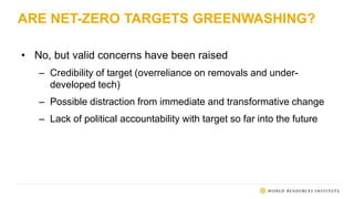 Net Zero Targets: Which Countries Have Them and How They Stack Up | PPTX