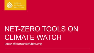 Net Zero Targets: Which Countries Have Them and How They Stack Up | PPTX