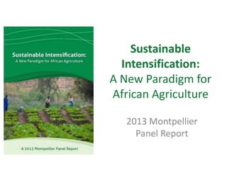 Sustainable
Intensification:
A New Paradigm for
African Agriculture
2013 Montpellier
Panel Report
 