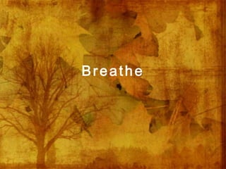 Breathe
 