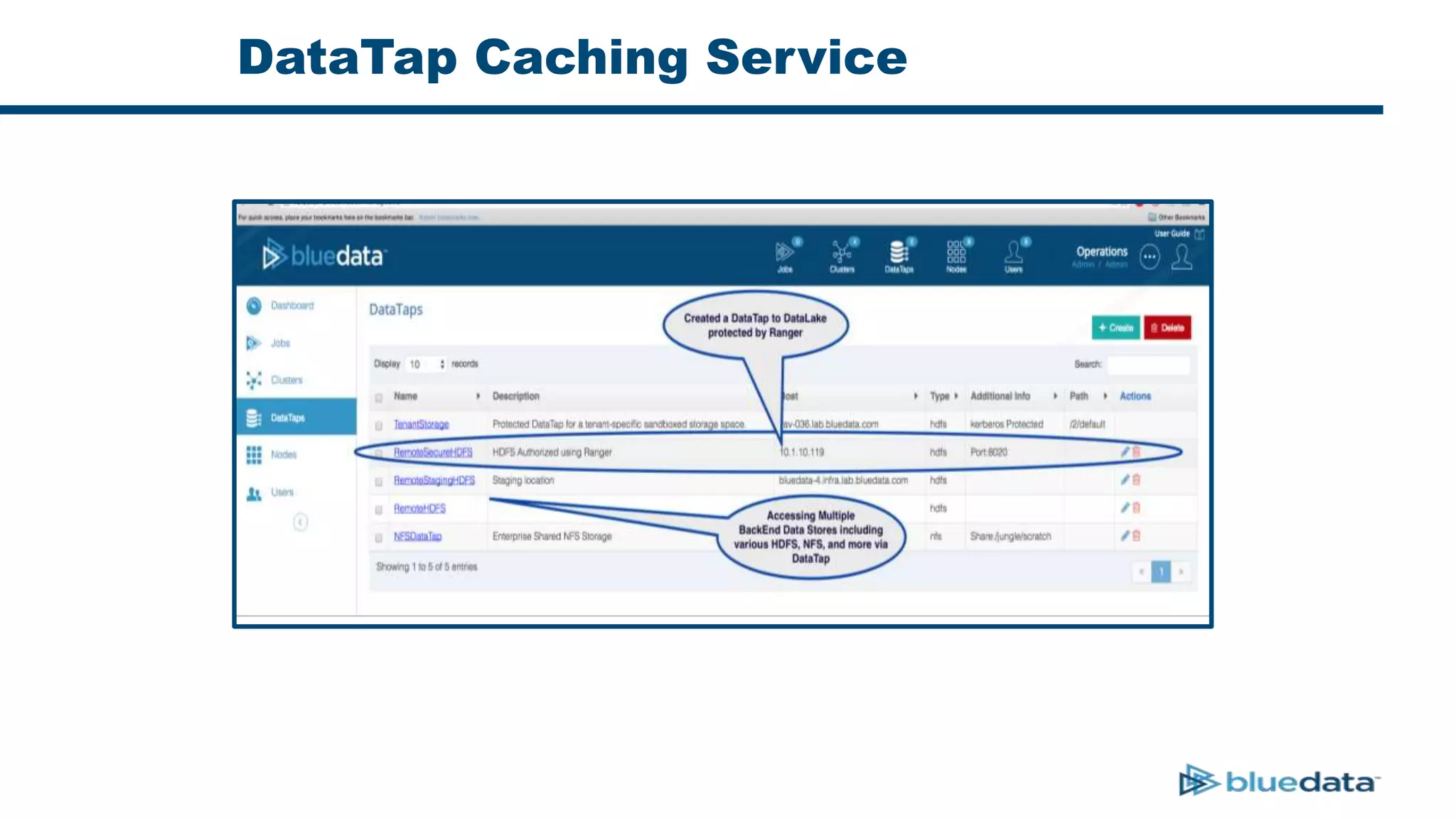 DataTap Caching Service
 