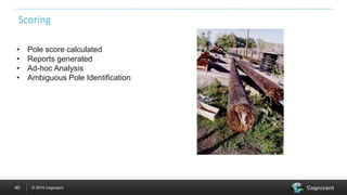 © 2015 Cognizant40
Scoring
• Pole score calculated
• Reports generated
• Ad-hoc Analysis
• Ambiguous Pole Identification
 