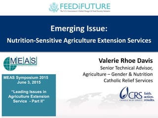MEAS Symposium 2015
June 3, 2015
“Leading Issues in
Agriculture Extension
Service - Part II”
Emerging Issue:
Nutrition-Sensitive Agriculture Extension Services
Valerie Rhoe Davis
Senior Technical Advisor,
Agriculture – Gender & Nutrition
Catholic Relief Services
 
