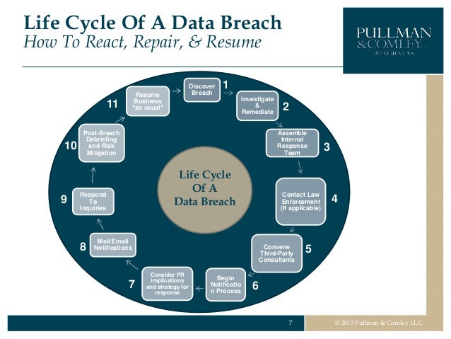 Жизненный цикл модели машинного обучения. Data lifecycle. Data cycle. Forum user data in weekend breach. Optus data breach.