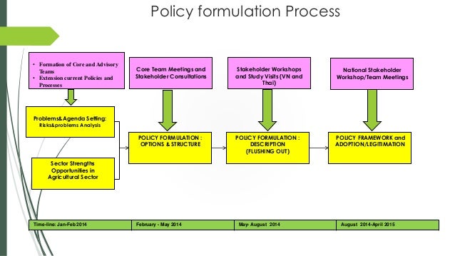 policy formulation