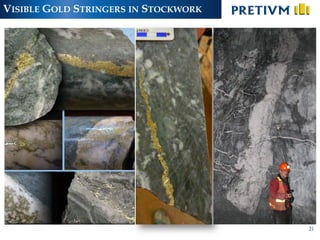 VISIBLE GOLD STRINGERS IN STOCKWORK
21
 