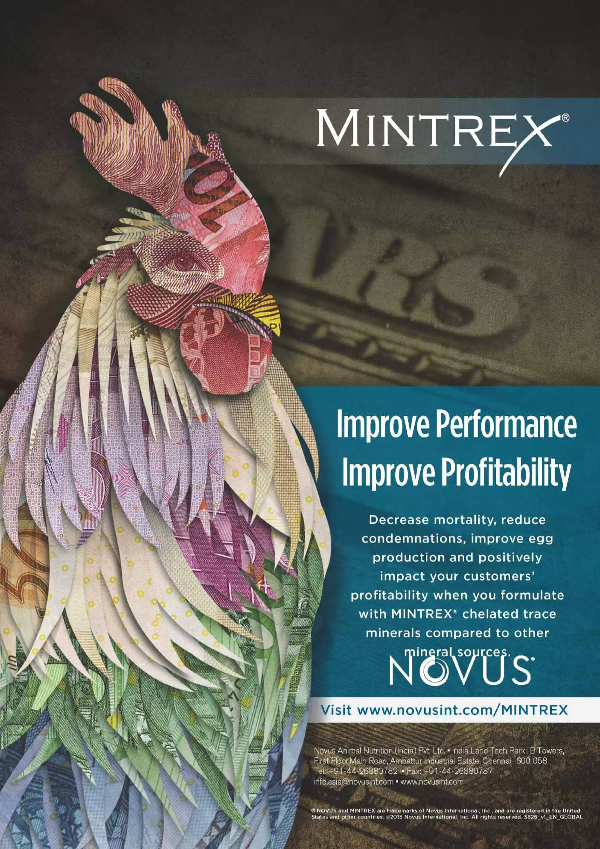 Think Grain Think Feed June issue 2018