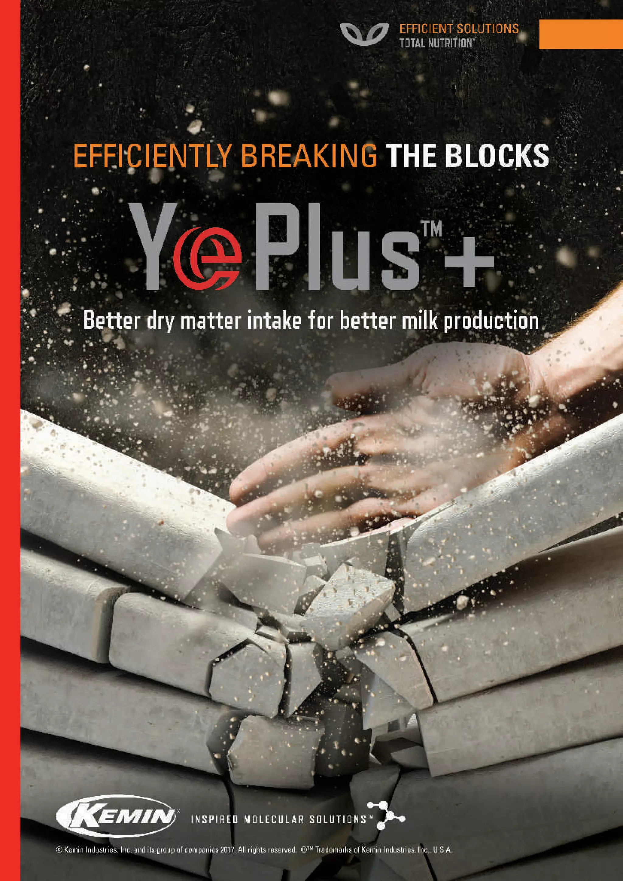 Think Grain Think Feed June issue 2018