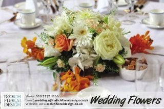 Phone: 020 7737 1166
Email: weddings@todichﬂoraldesign.co.uk
Website: www.todichﬂoraldesign.co.uk Wedding Flowers
 