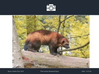 Bosco Jubilee Quiz 2019 The Junior General Quiz QMs – G.O.V.B
 