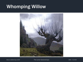 Bosco Jubilee Quiz 2019 The Junior General Quiz QMs – G.O.V.B
Whomping Willow
 