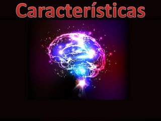 Jung – Inconsciente Coletivo