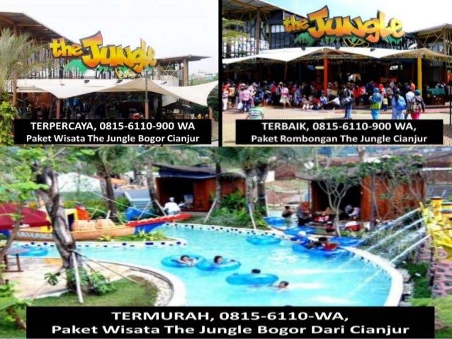 3 Terpercaya 0815 6110 900 Wa Paket Wisata The Jungle