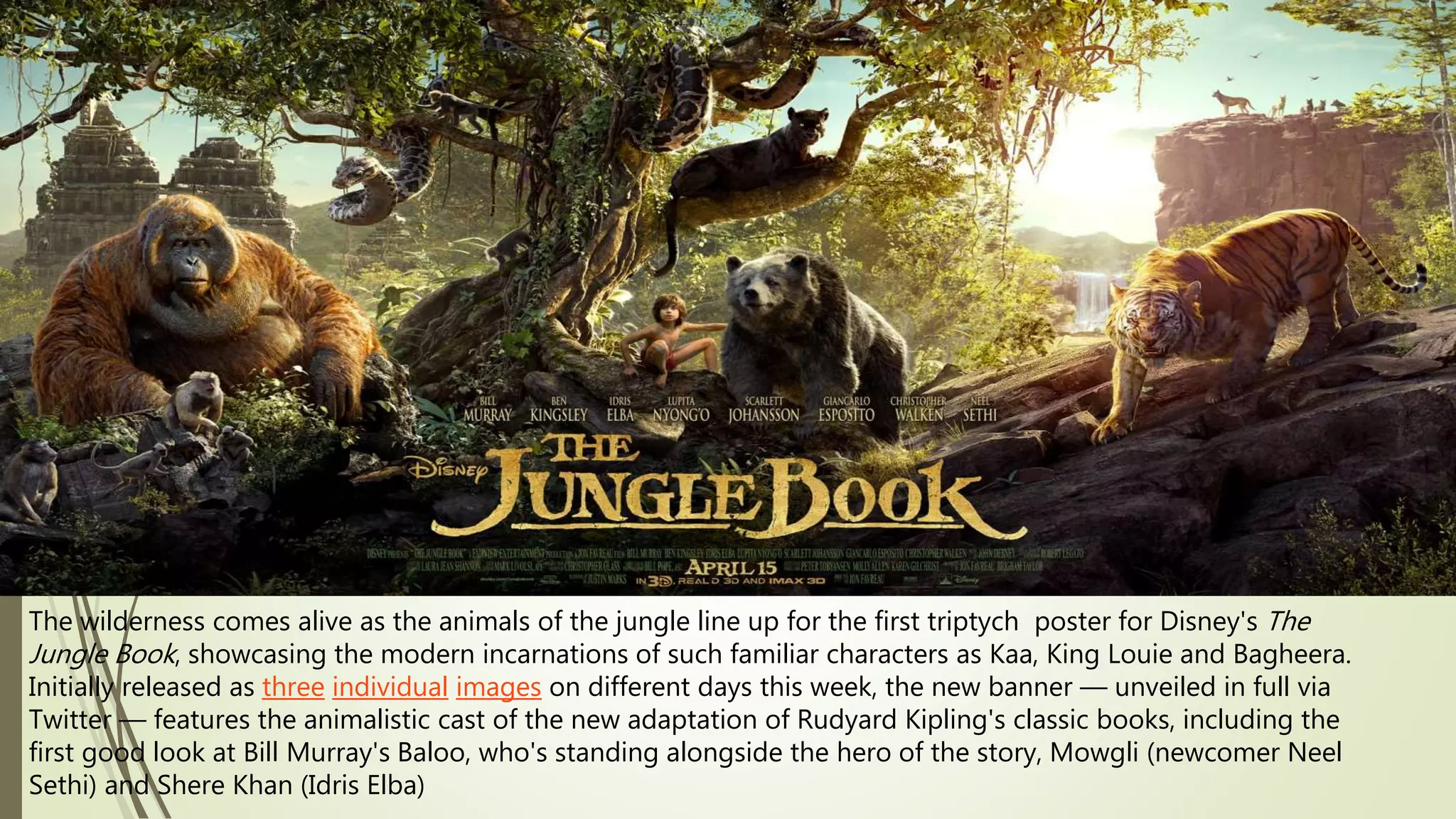 The wilderness comes alive as the animals of the jungle line up for the first triptych poster for Disney's The
Jungle Book, showcasing the modern incarnations of such familiar characters as Kaa, King Louie and Bagheera.
Initially released as three individual images on different days this week, the new banner — unveiled in full via
Twitter — features the animalistic cast of the new adaptation of Rudyard Kipling's classic books, including the
first good look at Bill Murray's Baloo, who's standing alongside the hero of the story, Mowgli (newcomer Neel
Sethi) and Shere Khan (Idris Elba)
 