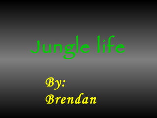 Jungle life By: Brendan  