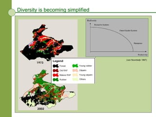 Diversity is becoming simplified (van Noordwijk 1997)  