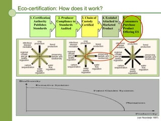 Eco-certification: How does it work? (van Noordwijk 1997)  