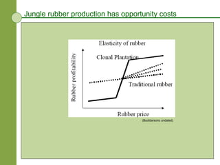 Jungle rubber production has opportunity costs (Budidarsono undated) 