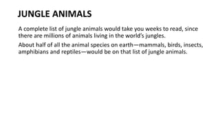 JUNGLE ANIMALS
A complete list of jungle animals would take you weeks to read, since
there are millions of animals living in the world’s jungles.
About half of all the animal species on earth—mammals, birds, insects,
amphibians and reptiles—would be on that list of jungle animals.
 
