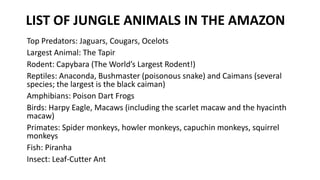LIST OF JUNGLE ANIMALS IN THE AMAZON
Top Predators: Jaguars, Cougars, Ocelots
Largest Animal: The Tapir
Rodent: Capybara (The World’s Largest Rodent!)
Reptiles: Anaconda, Bushmaster (poisonous snake) and Caimans (several
species; the largest is the black caiman)
Amphibians: Poison Dart Frogs
Birds: Harpy Eagle, Macaws (including the scarlet macaw and the hyacinth
macaw)
Primates: Spider monkeys, howler monkeys, capuchin monkeys, squirrel
monkeys
Fish: Piranha
Insect: Leaf-Cutter Ant
 