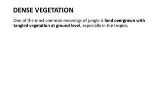 DENSE VEGETATION
One of the most common meanings of jungle is land overgrown with
tangled vegetation at ground level, especially in the tropics.
 