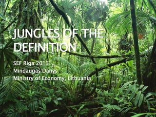 JUNGLES OF THE
DEFINITION
SEF Riga 2013
Mindaugas Danys
Ministry of Economy, Lithuania

 