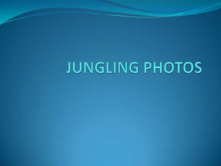 JUNGLING PHOTOS