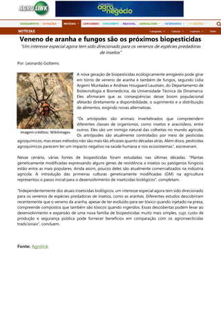 Veneno de aranha e fungos são os próximos biopesticidas
"Um interesse especial agora tem sido direcionado para os venenos de espécies predadoras
de insetos"
Por: Leonardo Gottems
A nova geração de biopesticidas ecologicamente amigáveis pode girar
em torno de veneno de aranha e também de fungos, segundo Lídia
Argemí Muntadas e Andreas Hougaard Laustsen, do Departamento de
Biotecnologia e Biomedicina, da Universidade Técnica da Dinamarca.
Eles afirmaram que as conseqüências desse boom populacional
afetarão diretamente a disponibilidade, o suprimento e a distribuição
de alimentos, exigindo novas alternativas.
“Os artrópodes são animais invertebrados que compreendem
diferentes classes de organismos, como insetos e aracnídeos, entre
outros. Eles são um inimigo natural das colheitas no mundo agrícola.
Os artrópodes são atualmente controlados por meio de pesticidas
agroquímicos, mas esses métodos não são mais tão eficazes quanto décadas atrás. Além disso, pesticidas
agroquímicos parecem ter um impacto negativo na saúde humana e nos ecossistemas”, escreveram.
Nesse cenário, várias fontes de biopesticidas foram estudadas nas últimas décadas. “Plantas
geneticamente modificadas expressando alguns genes de resistência a insetos ou patógenos fúngicos
estão entre as mais populares. Ainda assim, poucos deles são atualmente comercializados na indústria
agrícola. A introdução das primeiras culturas geneticamente modificadas (GM) na agricultura
representou o passo inicial para o desenvolvimento de inseticidas biológicos”, completam.
“Independentemente dos atuais inseticidas biológicos, um interesse especial agora tem sido direcionado
para os venenos de espécies predadoras de insetos, como as aranhas. Diferentes estudos descobriram
recentemente que o veneno da aranha, apesar de ter evoluído para ser tóxico quando injetado na presa,
compreende compostos que também são tóxicos quando ingeridos. Essas descobertas podem levar ao
desenvolvimento e expansão de uma nova família de biopesticidas muito mais simples, cujo custo de
produção e segurança pública pode fornecer benefícios em comparação com os agroinsecticidas
tradicionais”, concluem.
Fonte: Agrolink
Imagem créditos: Wikilimages
 