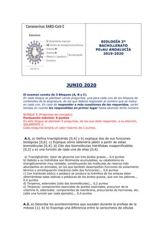 BIOLOGÍA 2º
BACHILLERATO
PEvAU ANDALUCÍA
2019-2020
JUNIO 2020
El examen consta de 3 Bloques (A, B y C)
En cada bloque se plantean varias preguntas, una para cada uno de los bloques de
contenidos de la asignatura, de las que deberá responder al número que se indica
en cada uno. En caso de responder a más cuestiones de las requeridas, serán
tenidas en cuenta las respondidas en primer lugar hasta alcanzar dicho número.
BLOQUE A (Preguntas de concepto)
Puntuación máxima: 6 puntos
En este bloque se plantean 5 preguntas, de las que debe responder, a su elección,
SOLAMENTE 3.
Cada pregunta tendrá un valor máximo de 2 puntos.
A.1. a) Defina triacilglicérido [0,4] y b) explique dos de sus funciones
biológicas [0,6]. c) Explique cómo obtendría jabón a partir de estas
biomoléculas [0,4]. d) Cite dos biomoléculas hidrófobas insaponificables
[0,2] y e) una función de cada una de ellas [0,4].
a) Triacilglicérido: éster de glicerina con tres ácidos grasos... 0,4 puntos
b) Debido a su hidrofobia son fácilmente acumulables, su catabolismo es
energéticamente muy rentable, constituyendo las moléculas de reserva más
abundantes en animales, en los que también desempeñan funciones de aislamiento
térmico y amortiguación mecánica (sólo dos funciones)... 0,6 puntos
c) Con hidróxido sódico o potásico se produce la hidrólisis de los enlaces éster
obteniéndose sales sódicas o potásicas de los ácidos grasos, que son los jabones...
0,4 puntos
d) Terpenos, esteroides (sólo dos biomoléculas)... 0,2 puntos
e) Terpenos: componentes esenciales de aceites esenciales, precursor de la
vitamina A; esteroides: componentes de membrana, precursores de hormonas, etc.
(sólo una función por cada ejemplo)... 0,4 puntos
A.2. a) Describa los acontecimientos que suceden durante la profase de la
mitosis [1]. b) b) Exponga una diferencia entre la cariocinesis de células
 