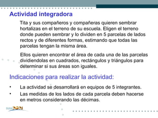 Actividad integradora Tita y sus compañeros y compañeras quieren sembrar hortalizas en el terreno de su escuela. Eligen el terreno donde pueden sembrar y lo dividen en 5 parcelas de lados rectos y de diferentes formas, estimando que todas las parcelas tengan la misma área. Ellos quieren encontrar el área de cada una de las parcelas dividiendolas en cuadrados, rectángulos y triángulos para determinar si sus áreas son iguales. Indicaciones para realizar la actividad: La actividad se desarrollará en equipos de 5 integrantes.  Las medidas de los lados de cada parcela deben hacerse en metros considerando las décimas.   