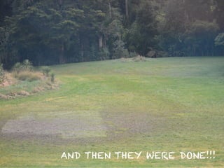 AND THEN THEY WERE DONE!!!
 