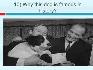 10) Why this dog is famous in
history?
Qui9 Grand Annual Season 5
 