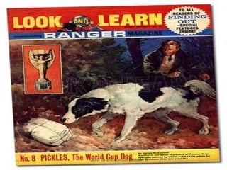 Qui9 Grand Annual Season 5
 