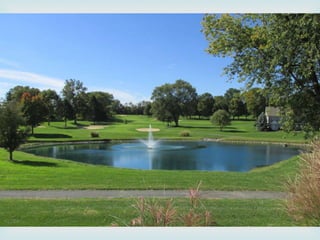 Junior Senior Reveal Night