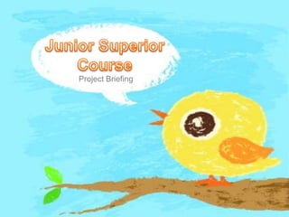 Junior Superior Course Project Briefing 