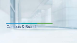 Campus & Branch
 