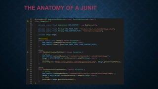 THE ANATOMY OF A JUNIT
 