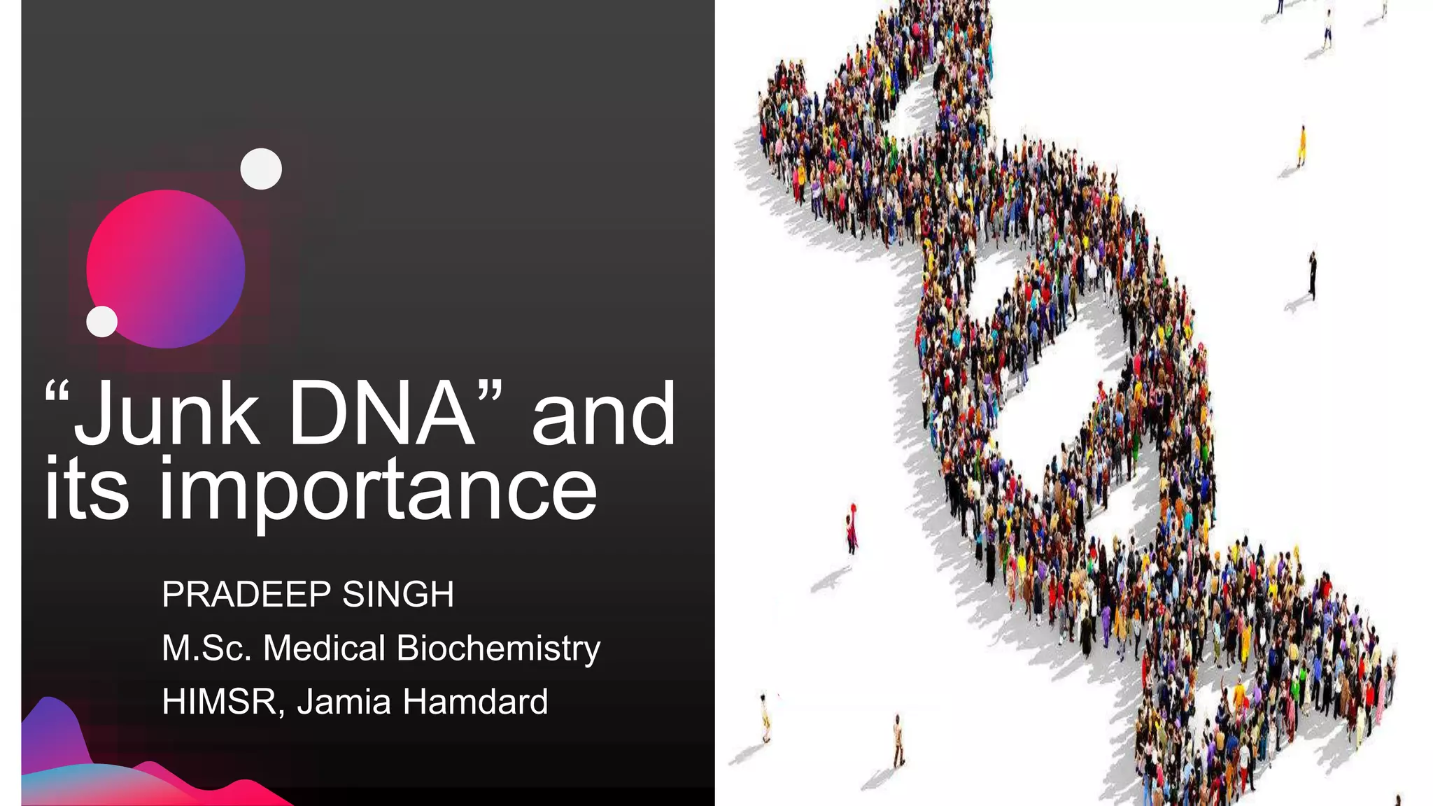 Junk Dnas Hidden Potential A Game Changer For Medicine - h5d8fg2