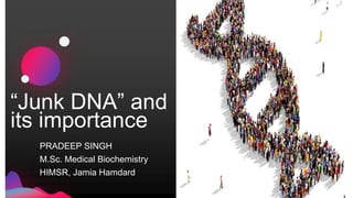 “Junk DNA” and
its importance
PRADEEP SINGH
M.Sc. Medical Biochemistry
HIMSR, Jamia Hamdard
 