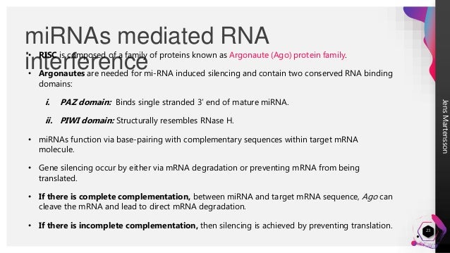 junk dna non coding dna and its