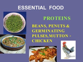 ESSENTIAL  FOOD  BEANS, PENUTS & GERMINATING PULSES,MUTTON -CHICKEN PROTEINS 